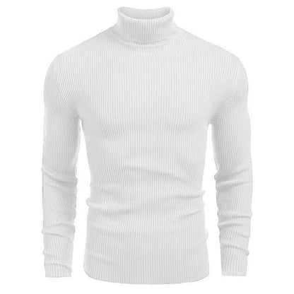 Herren Pullover Rollkragen Struktur Rippenmuster Modern