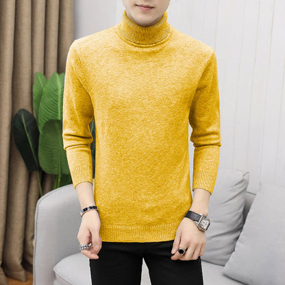 Herren Rollkragenpullover Modisch Fein Strukturiert