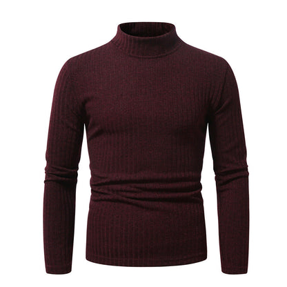 Herren Rollkragenpullover aus Wolle mit Rippmuster Elegant