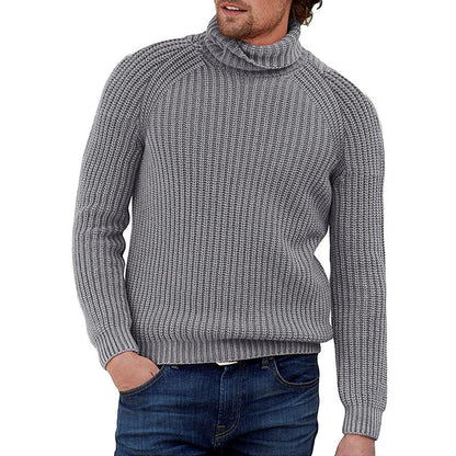 Herren Pullover Grobstrick Strukturiert Hochkragen Modern