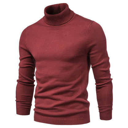 Herren Rollkragenpullover Fein Strick Elegante Optik