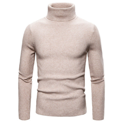 Herren Rollkragenpullover Struktur Optik Modern