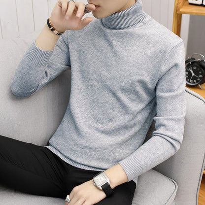 Herren Rollkragenpullover Modisch Fein Strukturiert