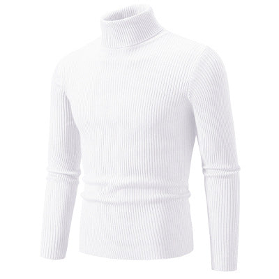 Herren Rollkragenpullover Soft Qualitätsstrick Modern