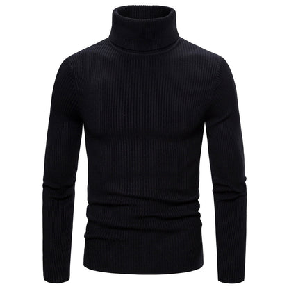 Herren Rollkragenpullover Weich Strick Ripp Optik