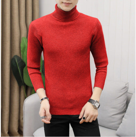 Herren Rollkragenpullover Rippstruktur Hochwertig Strick