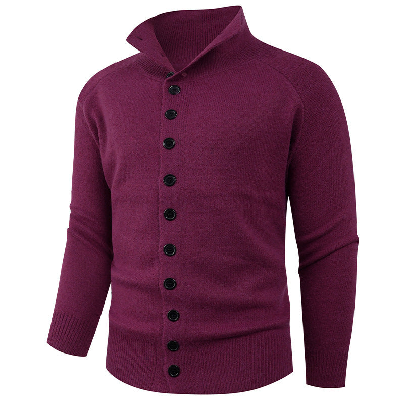 Herren Strickpullover Hochkragen Knopfverschluss Modern