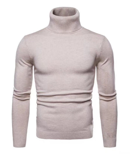 Herren Rollkragenpullover Baumwolle Hochwertig Elegannt