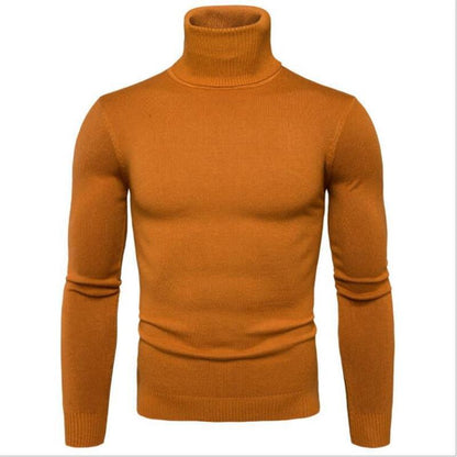 Herren Pullover Rollkragen Figurbetont Modern