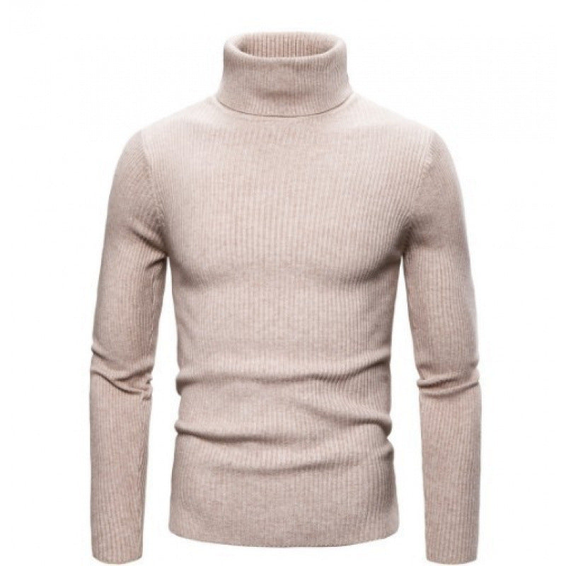 Herren Rollkragenpullover Strukturiert Modern Stadtstyle