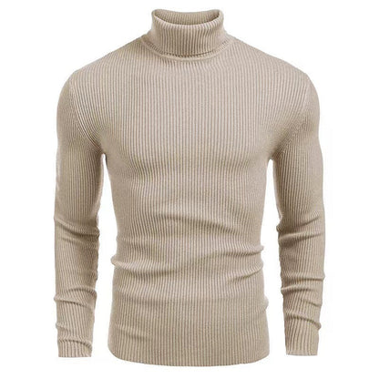 Herren Rollkragenpullover Rippstruktur Hochwertig Strick