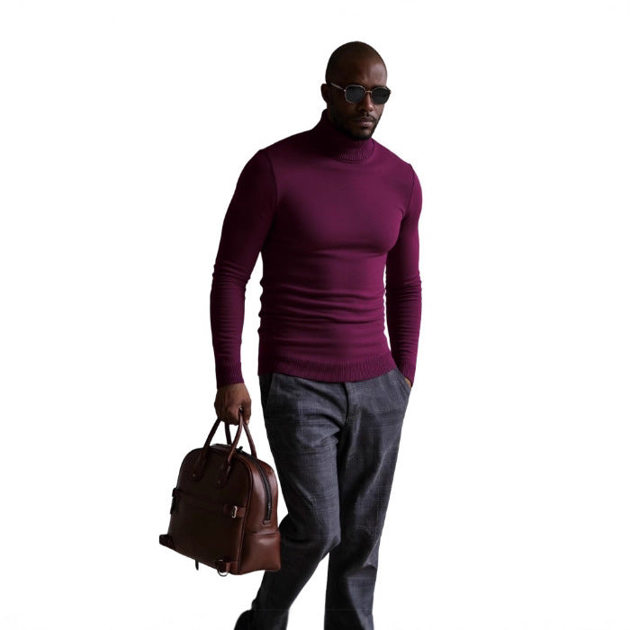 Herren Rollkragenpullover Fein Strukturiert Elegangt