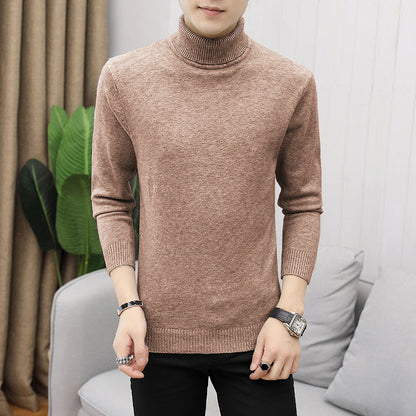 Herren Rollkragenpullover Modisch Fein Strukturiert