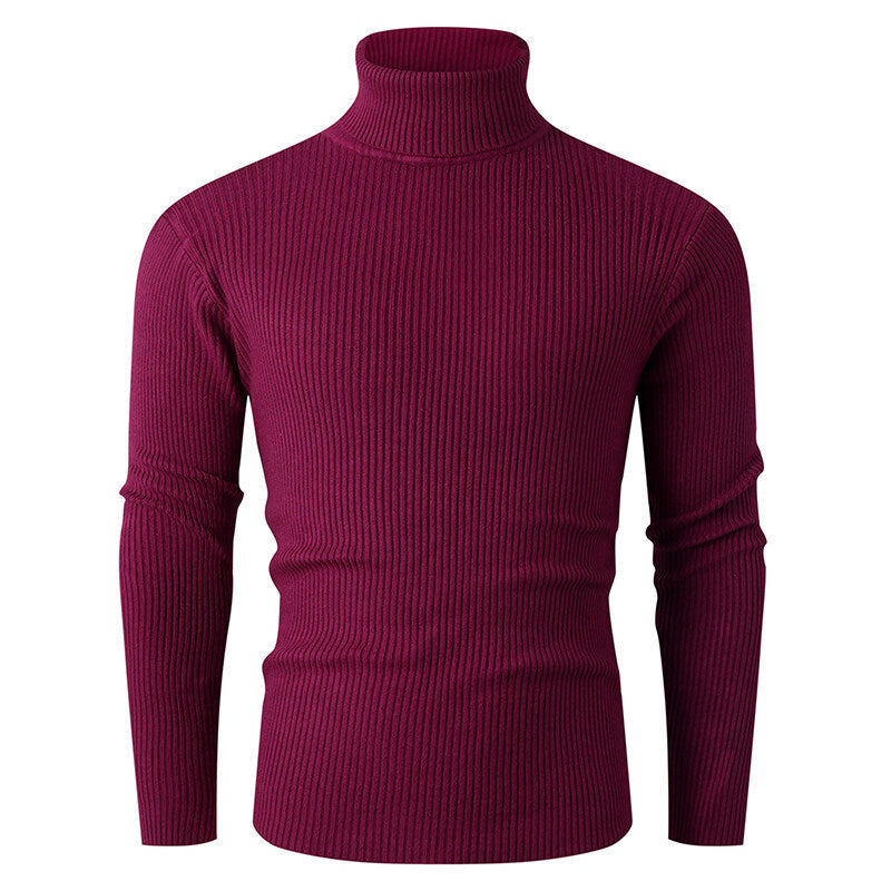 Herren Rollkragenpullover Gerippt Strick Modern Schwarz
