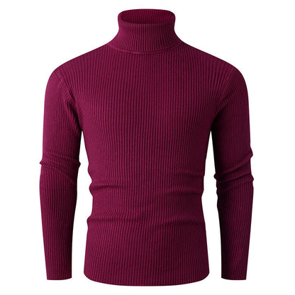 Herren Rollkragenpullover Gerippt Strick Modern Schwarz