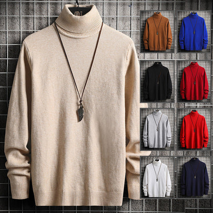 Herren Rollkragenpullover Modisch Baumwolle Hochwertig