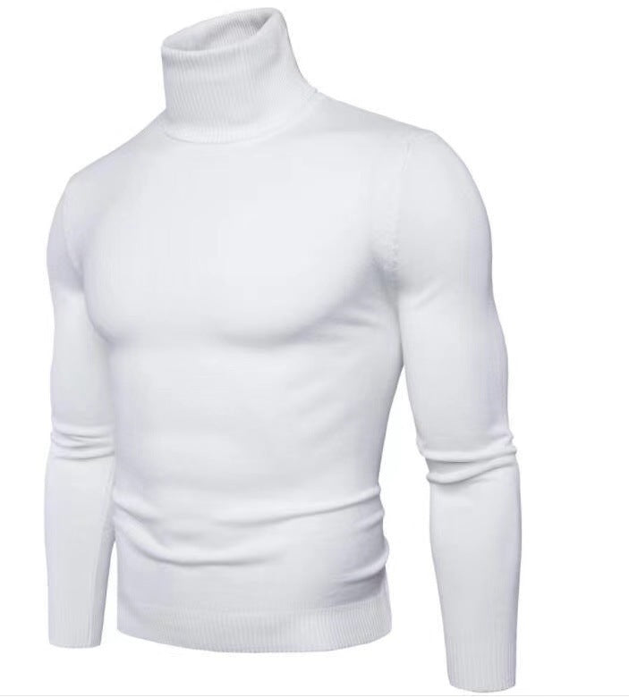 Herren Rollkragenpullover Feine Merinowolle Modern