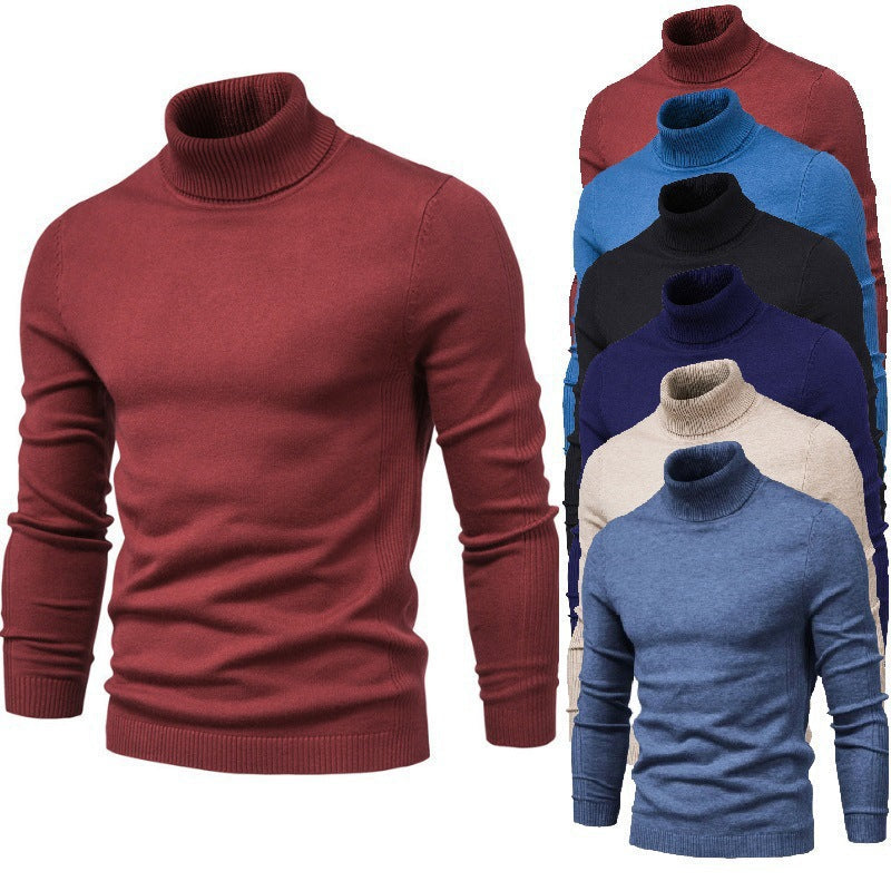 Herren Rollkragenpullover Fein Strick Elegante Optik