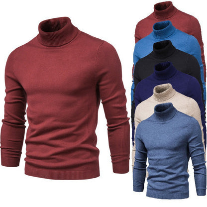 Herren Rollkragenpullover Fein Strick Elegante Optik