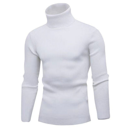 Herren Rollkragenpullover Feinripp Modern Geschnürt