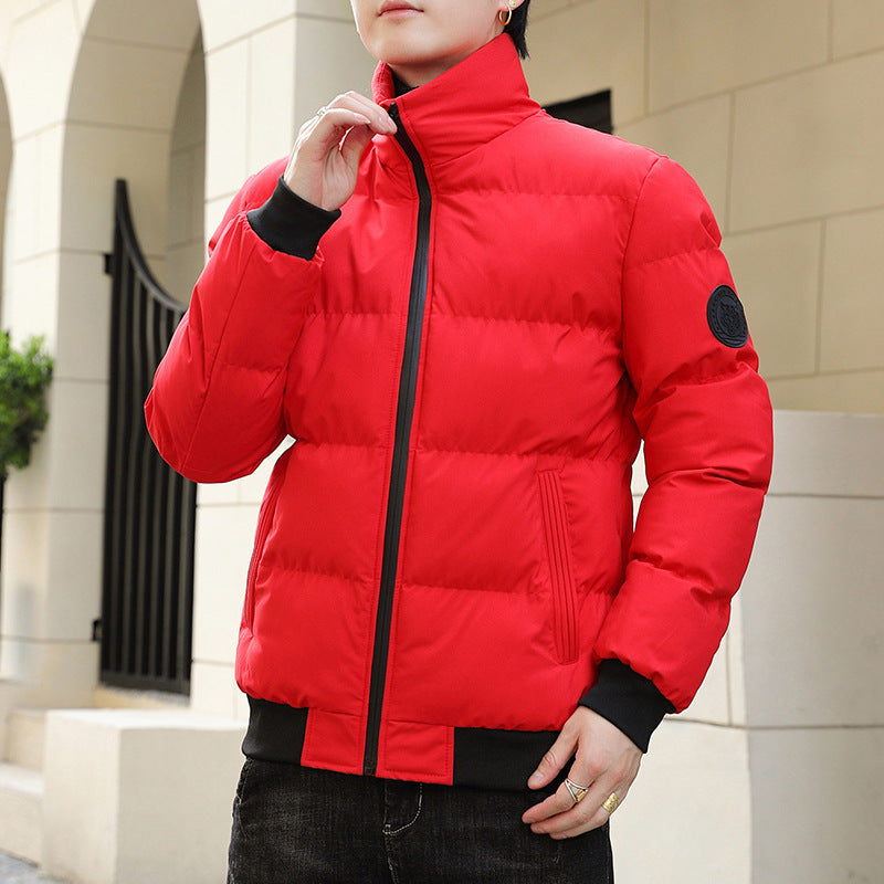 Herren Steppjacke Warm Modern mit Hochkragen