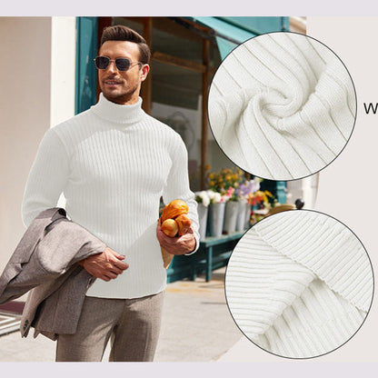 Herren Strickpullover Hochkragen Rippenmuster Modern