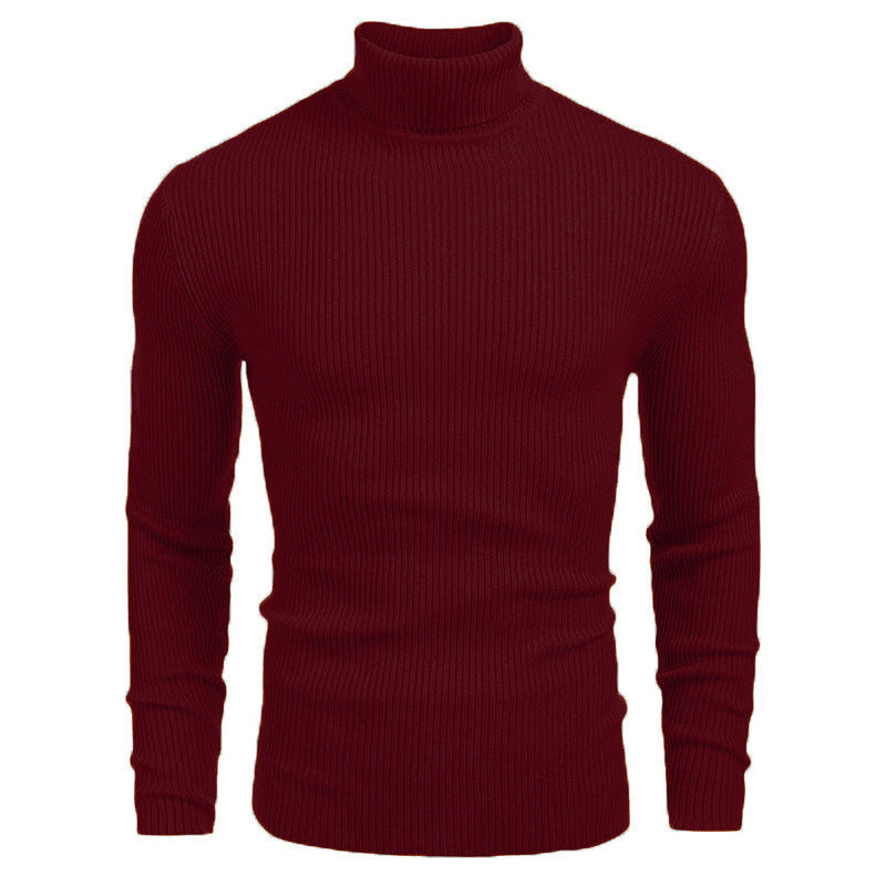 Herren Rollkragenpullover Fein Rippenstrick Hochwertig
