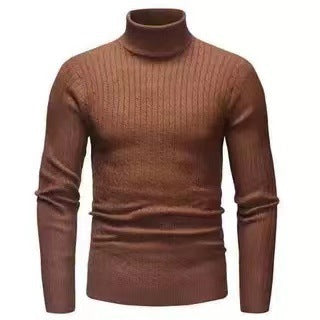 Herren Rollkragenpulli Struktur Zopfmuster Pullover Modern