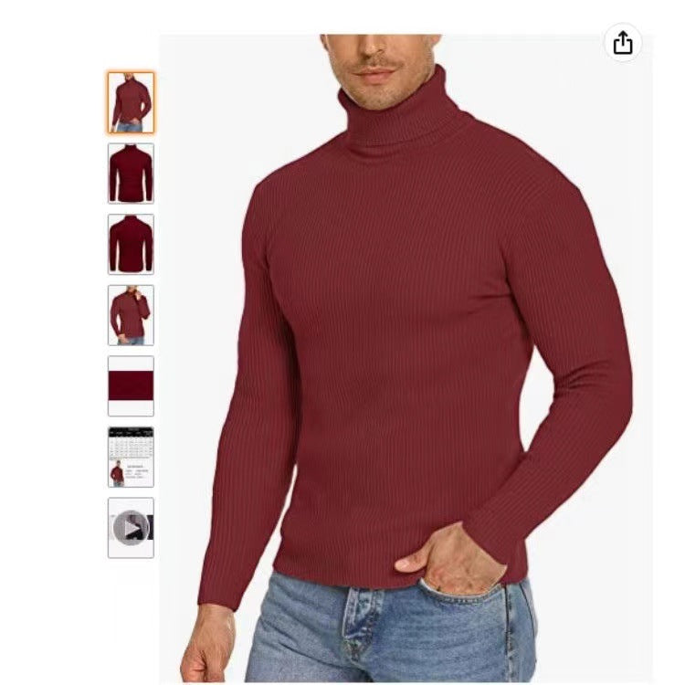 Herren Pullover Stehkragen Ribbelstrick Modern