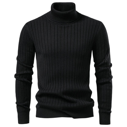 Herren Pullover Rollkragen Feinripp Modern