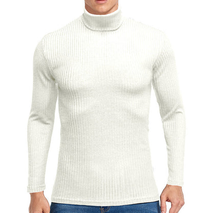 Herren Rollkragenpullover Strick Fein Strukturiert Elegent