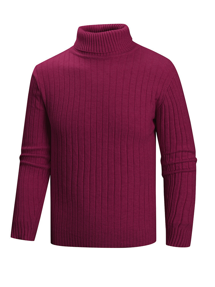 Herren Pullover Rollkragen Feinstrick Modern Style