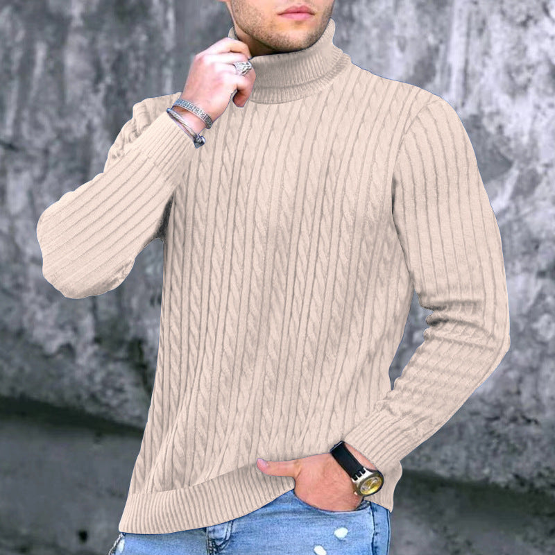 Herren Rollkragenpullover Zopfmuster Modern