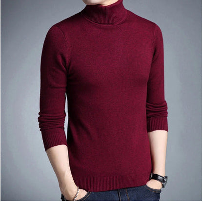 Herren Rollkragenpullover Weich Strick Warm