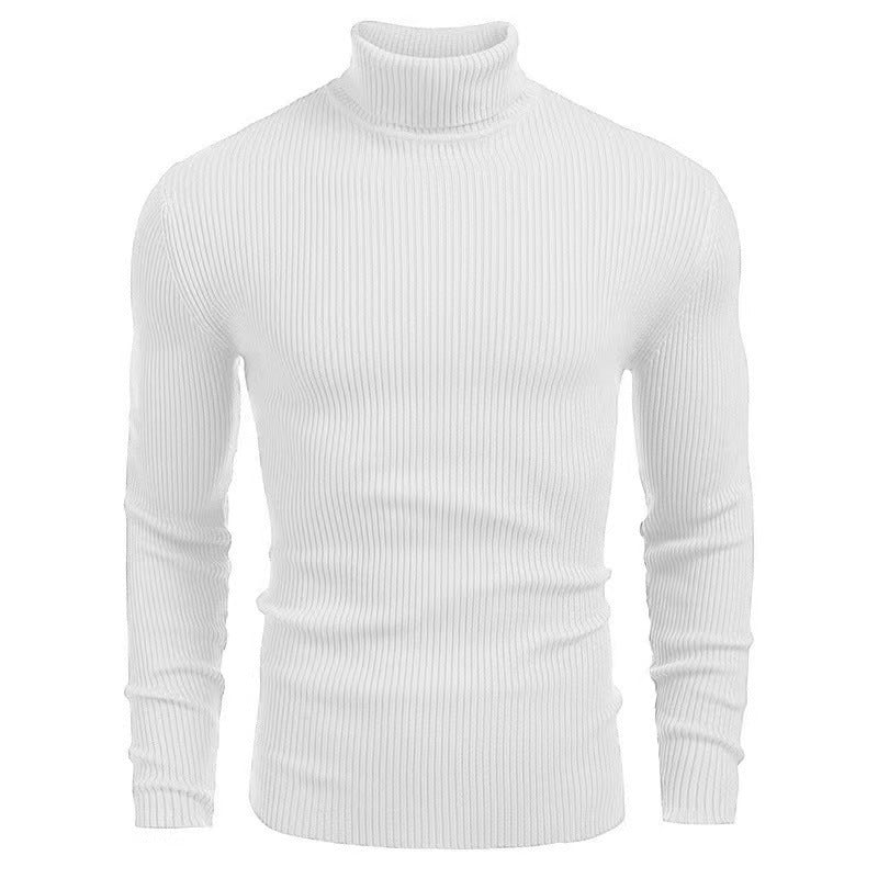 Herren Rollkragenpullover Rippstruktur Hochwertig Strick