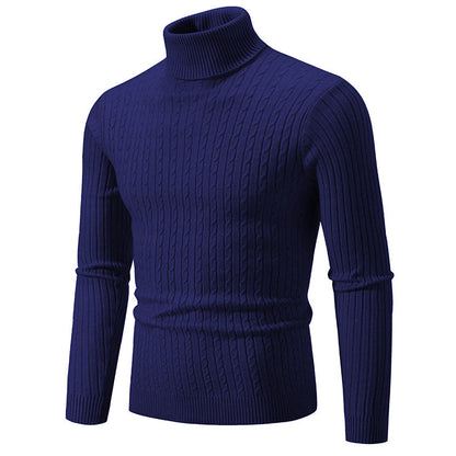 Herren Rollkragenpullover Strukturiert Zopfmuster Modisch