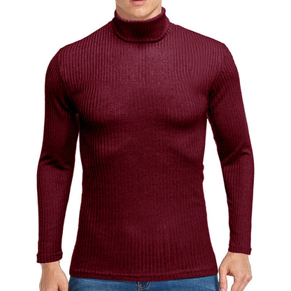 Herren Rollkragenpullover Strick Fein Strukturiert Elegent
