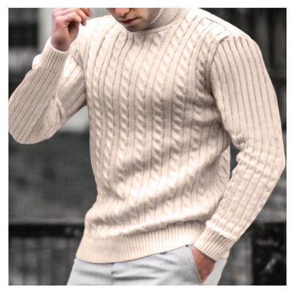 Herren Pullover Strukturiert Zopfmuster Hochkragen Modern