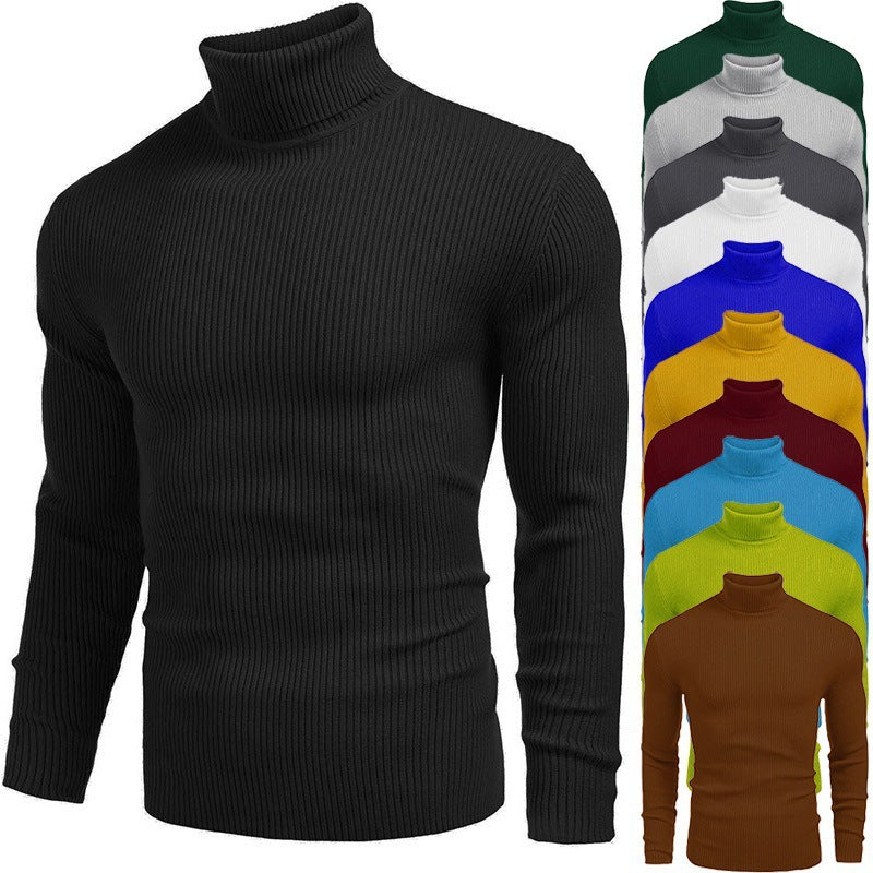 Herren Rollkragenpullover Strick Elegante Optik - BerlinGlamour