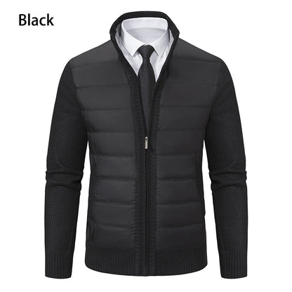 Herren Übergangsjacke Gefüttert Warm Hochkragen Modern