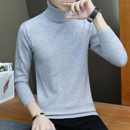 Herren Rollkragenpullover Modisch Fein Strukturiert