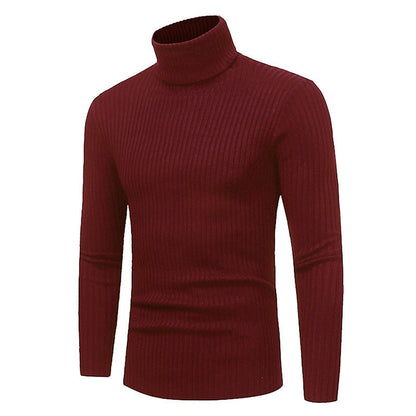 Herren Pullover Rollkragen Modern Hochwertig