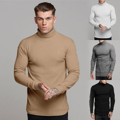 Herren Langarmshirt Rollkragen Modern Elegant - BerlinGlamour