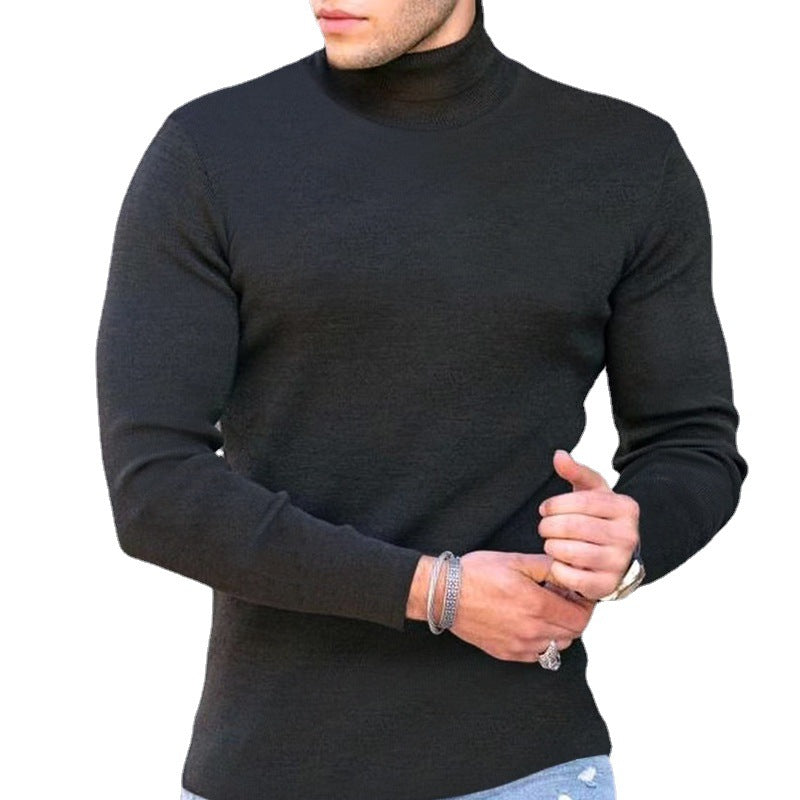 Herren Rollkragenpullover Elastisch Modern Qualität