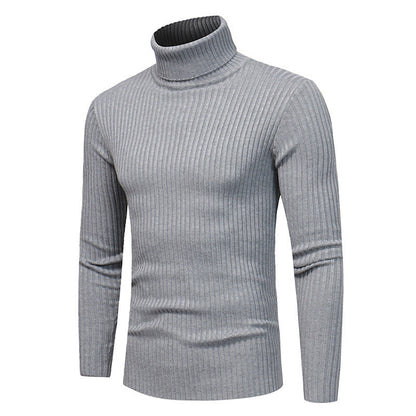 Herren Pullover Rollkragen Modern Hochwertig