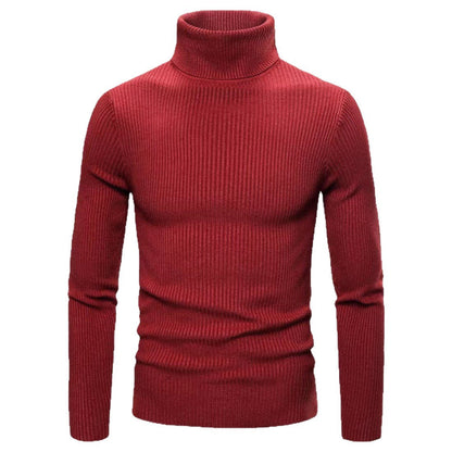 Herren Rollkragenpullover Fein Rippstrick Elegent