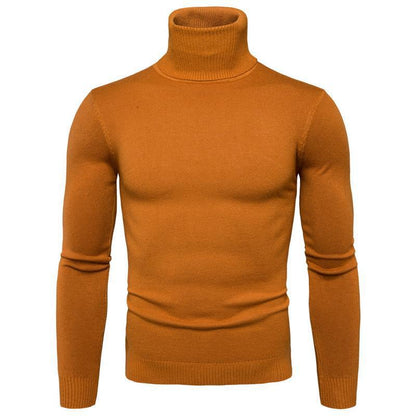 Herren Rollkragenpullover Fein Strick Hochwertig Elegант