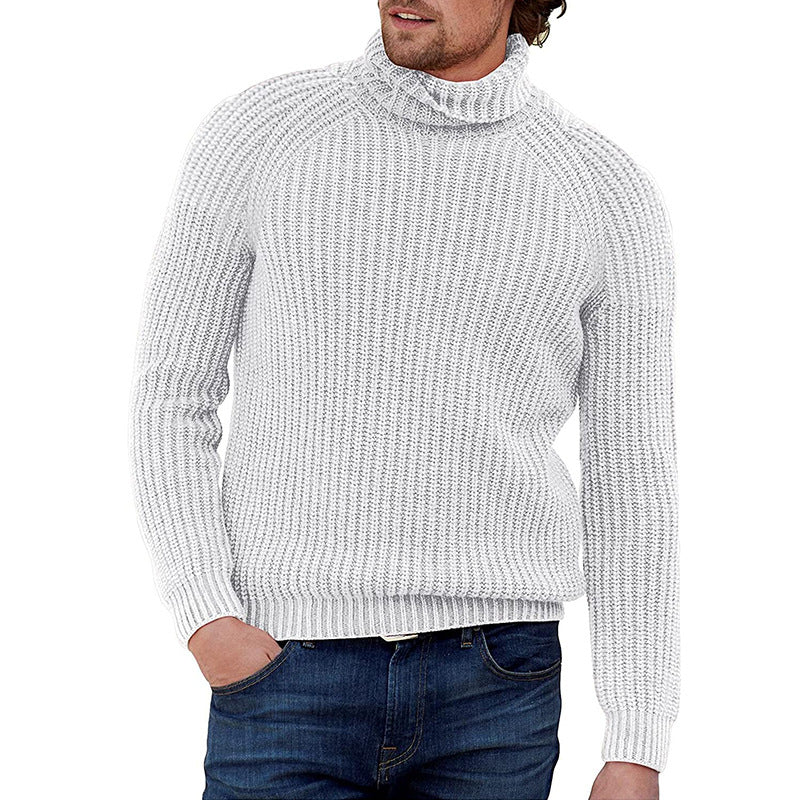 Herren Pullover Grobstrick Strukturiert Hochkragen Modern