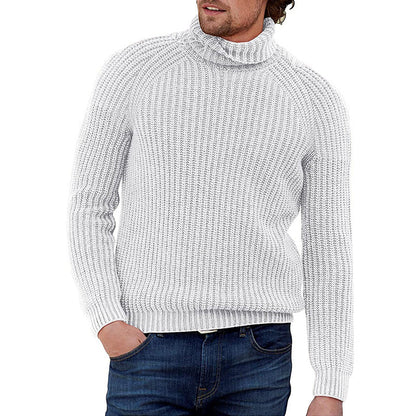 Herren Pullover Grobstrick Strukturiert Hochkragen Modern