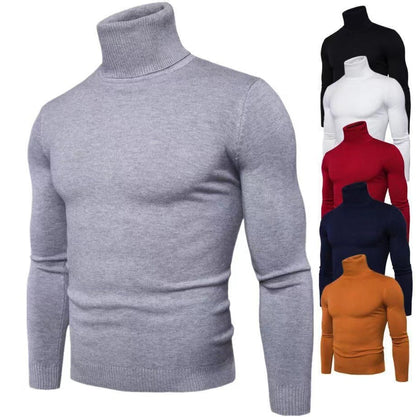 Herren Rollkragenpullover Baumwolle Hochwertig Elegannt